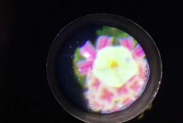 【閉業】森ビルデジタルアートミュージアム：エプソン チームラボボーダレス（MORI Building Digital Art Museum: EPSON teamLab Borderless）の写真・動画_image_205064