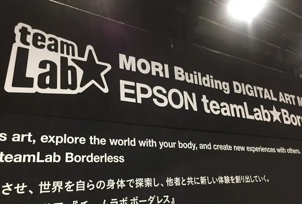 【閉業】森ビルデジタルアートミュージアム：エプソン チームラボボーダレス（MORI Building Digital Art Museum: EPSON teamLab Borderless）の写真・動画_image_205071