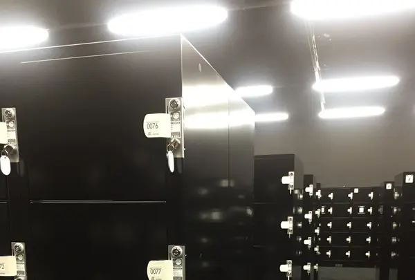 【閉業】森ビルデジタルアートミュージアム：エプソン チームラボボーダレス（MORI Building Digital Art Museum: EPSON teamLab Borderless）の写真・動画_image_205072