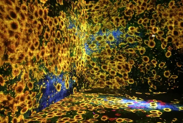 【閉業】森ビルデジタルアートミュージアム：エプソン チームラボボーダレス（MORI Building Digital Art Museum: EPSON teamLab Borderless）の写真・動画_image_205075