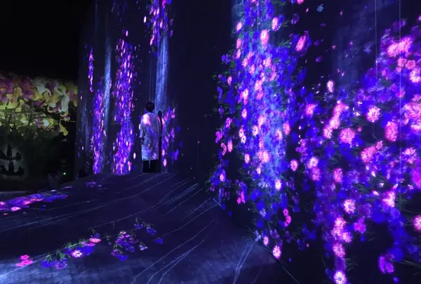 【閉業】森ビルデジタルアートミュージアム：エプソン チームラボボーダレス（MORI Building Digital Art Museum: EPSON teamLab Borderless）の写真・動画_image_205076