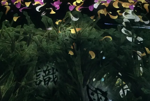 【閉業】森ビルデジタルアートミュージアム：エプソン チームラボボーダレス（MORI Building Digital Art Museum: EPSON teamLab Borderless）の写真・動画_image_205078