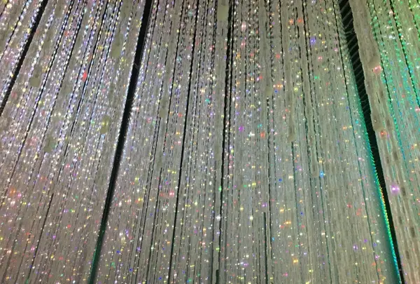【閉業】森ビルデジタルアートミュージアム：エプソン チームラボボーダレス（MORI Building Digital Art Museum: EPSON teamLab Borderless）の写真・動画_image_205081