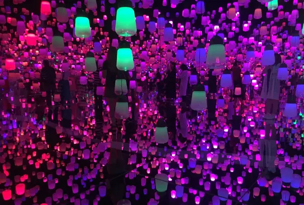 【閉業】森ビルデジタルアートミュージアム：エプソン チームラボボーダレス（MORI Building Digital Art Museum: EPSON teamLab Borderless）の写真・動画_image_205082