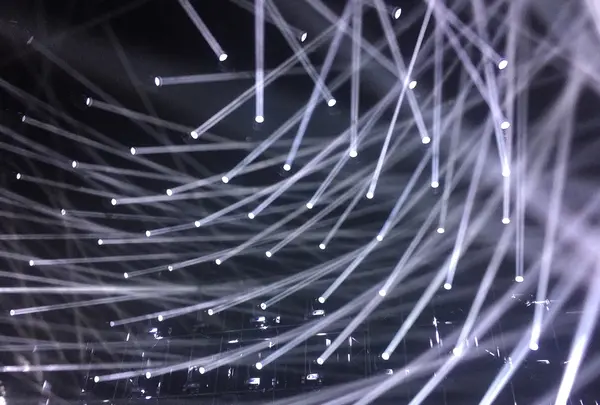 【閉業】森ビルデジタルアートミュージアム：エプソン チームラボボーダレス（MORI Building Digital Art Museum: EPSON teamLab Borderless）の写真・動画_image_205083
