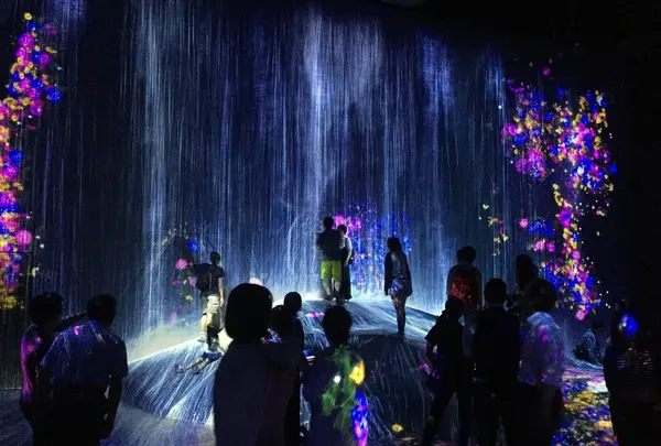【閉業】森ビルデジタルアートミュージアム：エプソン チームラボボーダレス（MORI Building Digital Art Museum: EPSON teamLab Borderless）の写真・動画_image_205084