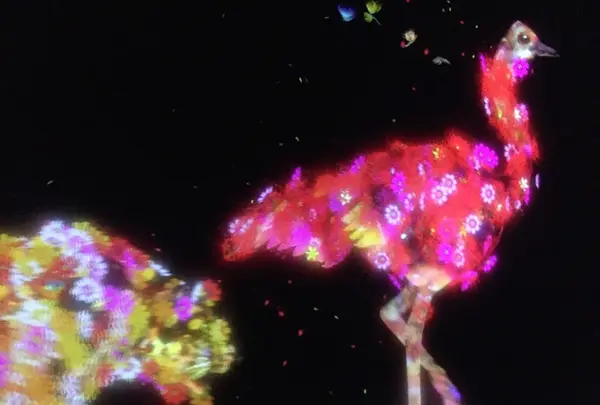 【閉業】森ビルデジタルアートミュージアム：エプソン チームラボボーダレス（MORI Building Digital Art Museum: EPSON teamLab Borderless）の写真・動画_image_205086