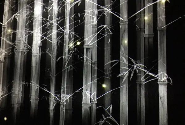【閉業】森ビルデジタルアートミュージアム：エプソン チームラボボーダレス（MORI Building Digital Art Museum: EPSON teamLab Borderless）の写真・動画_image_205087