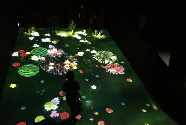 【閉業】森ビルデジタルアートミュージアム：エプソン チームラボボーダレス（MORI Building Digital Art Museum: EPSON teamLab Borderless）の写真・動画_image_205090