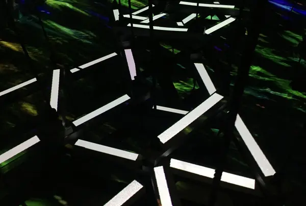 【閉業】森ビルデジタルアートミュージアム：エプソン チームラボボーダレス（MORI Building Digital Art Museum: EPSON teamLab Borderless）の写真・動画_image_205091