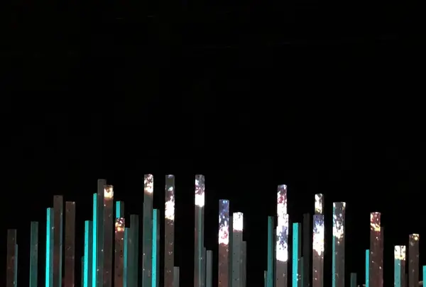 とれとれヴィレッジの写真・動画_image_205101