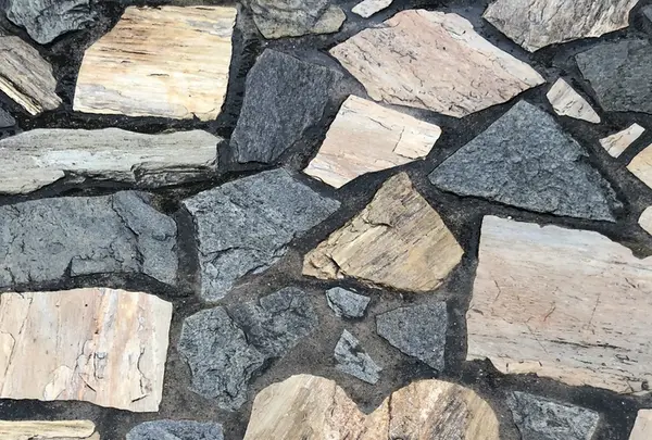 とれとれヴィレッジの写真・動画_image_205105