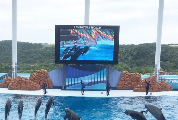 アドベンチャーワールドの写真・動画_image_205107