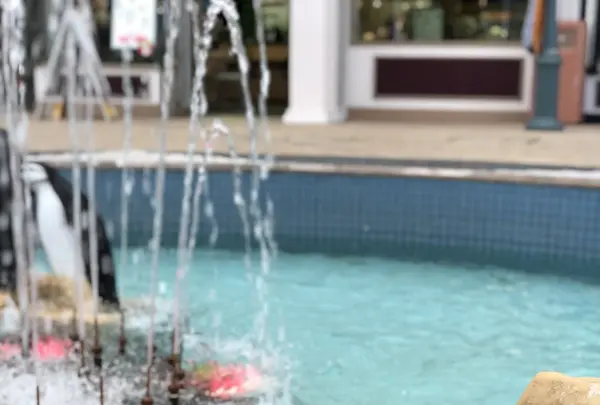 アドベンチャーワールドの写真・動画_image_205109