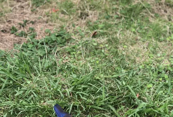 アドベンチャーワールドの写真・動画_image_205112