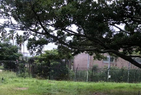 アドベンチャーワールドの写真・動画_image_205114