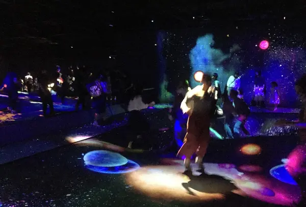 【閉業】森ビルデジタルアートミュージアム：エプソン チームラボボーダレス（MORI Building Digital Art Museum: EPSON teamLab Borderless）の写真・動画_image_205127
