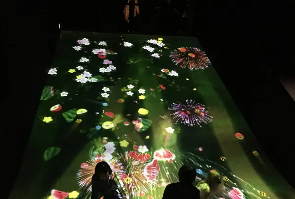 【閉業】森ビルデジタルアートミュージアム：エプソン チームラボボーダレス（MORI Building Digital Art Museum: EPSON teamLab Borderless）の写真・動画_image_205128