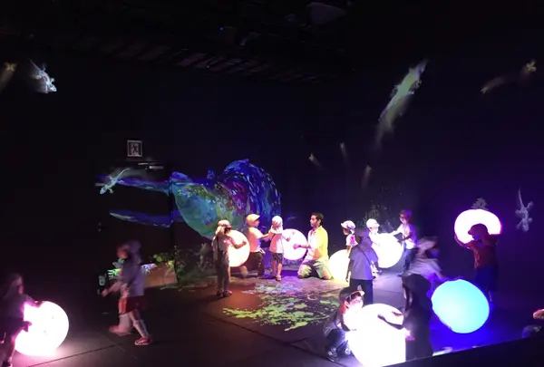 【閉業】森ビルデジタルアートミュージアム：エプソン チームラボボーダレス（MORI Building Digital Art Museum: EPSON teamLab Borderless）の写真・動画_image_205131