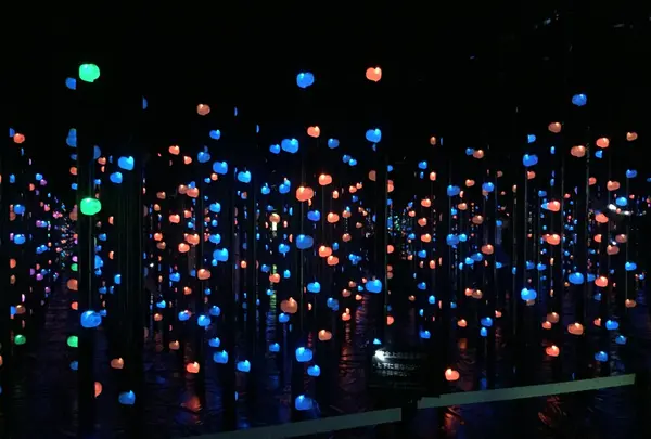 【閉業】森ビルデジタルアートミュージアム：エプソン チームラボボーダレス（MORI Building Digital Art Museum: EPSON teamLab Borderless）の写真・動画_image_205132