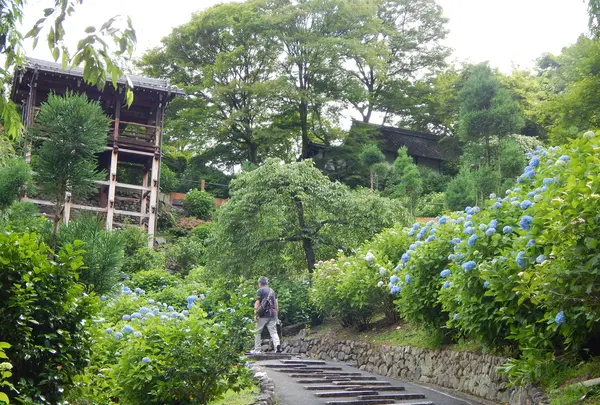 善峯寺の写真・動画_image_205232