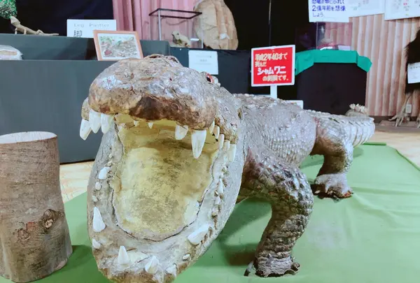 草津熱帯圏の写真・動画_image_205429
