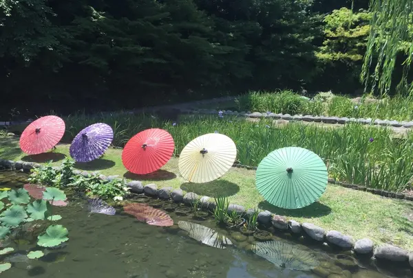 徳川園の写真・動画_image_205740