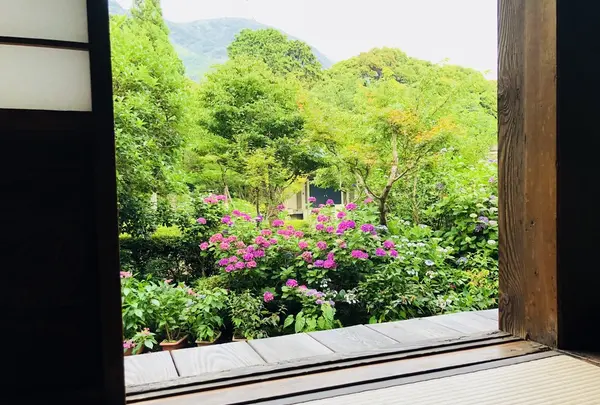 阿弥陀寺の写真・動画_image_205888