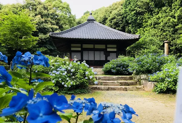 阿弥陀寺の写真・動画_image_205890