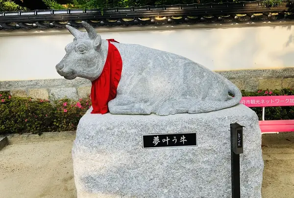 防府天満宮の写真・動画_image_205897