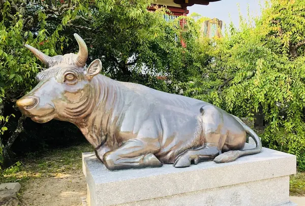 防府天満宮の写真・動画_image_205898