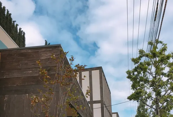 フランセスファームの写真・動画_image_205927