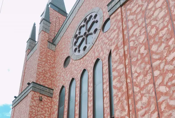 フランセスファームの写真・動画_image_205929