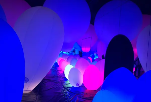 【閉業】森ビルデジタルアートミュージアム：エプソン チームラボボーダレス（MORI Building Digital Art Museum: EPSON teamLab Borderless）の写真・動画_image_205982