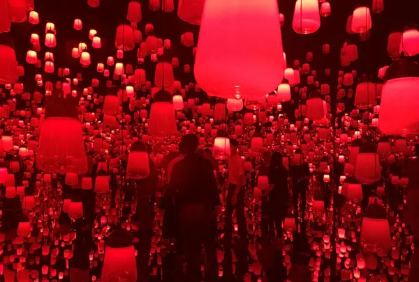 【閉業】森ビルデジタルアートミュージアム：エプソン チームラボボーダレス（MORI Building Digital Art Museum: EPSON teamLab Borderless）の写真・動画_image_205985
