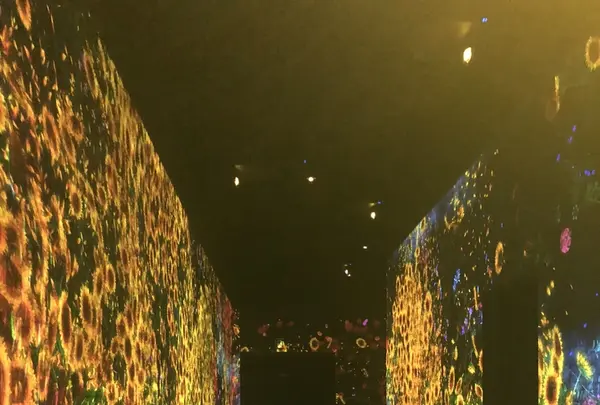 【閉業】森ビルデジタルアートミュージアム：エプソン チームラボボーダレス（MORI Building Digital Art Museum: EPSON teamLab Borderless）の写真・動画_image_205989