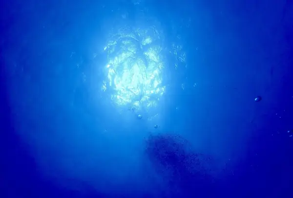 慶良間諸島周辺の写真・動画_image_206070