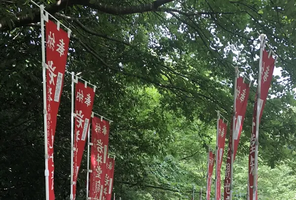 岩井観音の写真・動画_image_206262