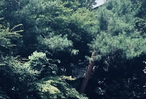 岩蔵鉱泉の写真・動画_image_206265