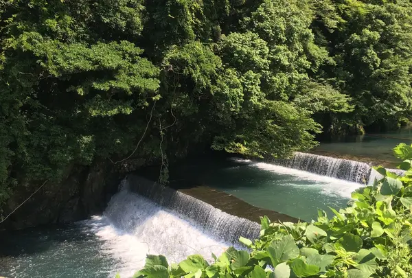 直吉の写真・動画_image_206306