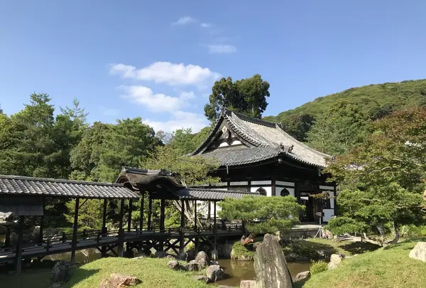 高台寺の写真・動画_image_206442