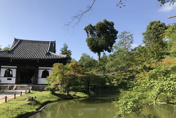 高台寺の写真・動画_image_206444
