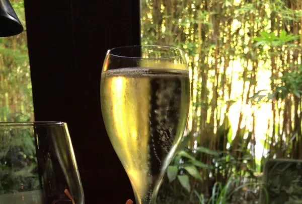 THE SODOH HIGASHIYAMA KYOTO （ザソウドウ）の写真・動画_image_206446