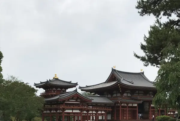 平等院の写真・動画_image_206458