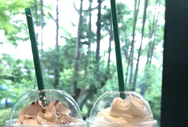 スターバックス コーヒー 京都宇治平等院表参道店の写真・動画_image_206472
