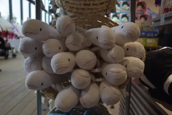 上越市立水族博物館 うみがたり（旧：上越市立水族博物館）の写真・動画_image_206505