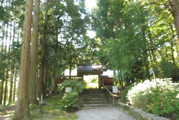 山の寺寺院群の写真・動画_image_206583