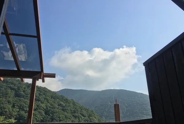 温泉旅館 湯さか荘の写真・動画_image_206681