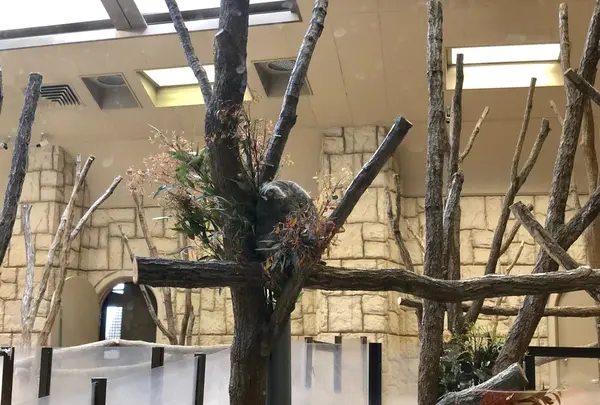東山動物園の写真・動画_image_207007