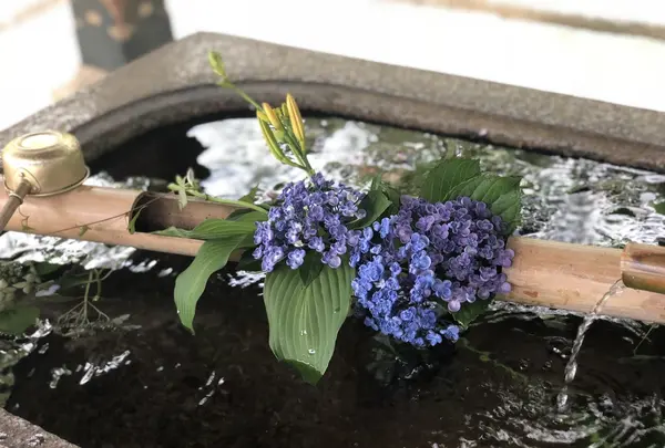 真如堂（真正極楽寺）の写真・動画_image_207323